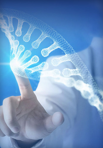 Color masterbatches and high-end masterbatches